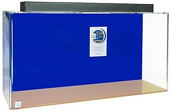 Acrylic Rectangle Aquarium 30 Gallon Sapphire