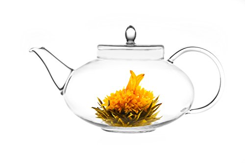 Glass Teapot Harmony, 42oz/1242ml with Tea Warmer Cozy Lead Free Special Glass No Drip by Tea Beyond