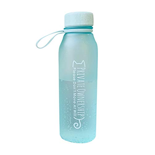Huifa Fashion Water Bottle Plastic Sport Scrub Leak Proof Drinking Bottle Portable (Green)
