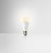 Philips Hue LUX LED Smart Light Bulb, Dimmable, Works with Amazon Alexa