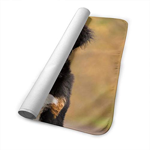 V5DGFJH.B Baby Portable Diaper Changing Pad Bernese Mountain Dog Urinary Pad Baby Changing Mat 31.5" x25.5''