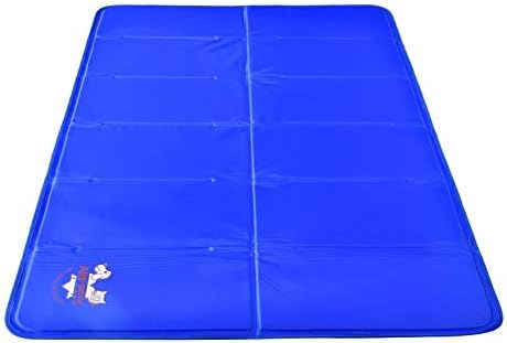 crossbreed shih tzu japanese spitz