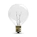 Lux Light G40 Clear Globe Ball String Lights 25 Feet - Indoor/Outdoor Rope Lights for Patio, Decoration, Events, Christmas, Fairy, Seasonal & Parties - Green