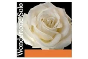 Pirastro Wondertone Solo Series Violin String Set 4/4 Size Medium E Ball End