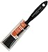 Wooster Brush 5378-1 Painter's Choice Polyester Brush, 1-Inch