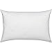 ComfyDown Decorative Throw Pillow Insert, Down and Feather Fill, 100% Cotton Cover, 233 Thread Count - Made in USA (12 X 16)