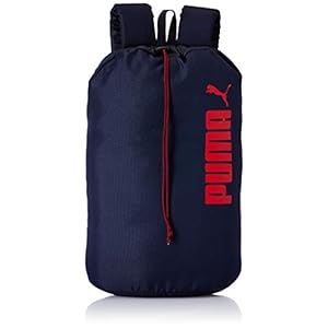Puma Daypack IND I Backpack