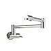 BWE Brass Kitchen Wall Mount Single Handle Pot Filler Faucet Swing Swivel Spout Chrome Polished Cold water Only