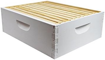Complete Beekeeping 10-Frame Painted Hive Body (Shallow 6 5/8")