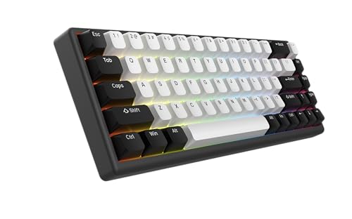 ARBITER Polar 65 Magnetic Gaming Keyboard