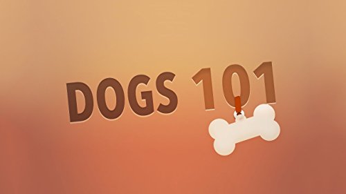 101 Dogs