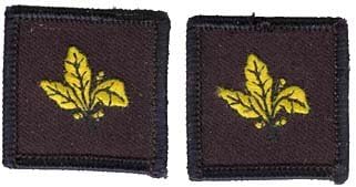 Navy Supply Corp Collar Device (pair) Patch