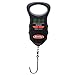 Berkley BTDFS50-1 Digital Fish Scale, 50-Pound