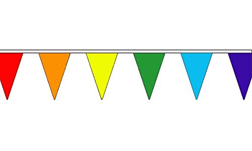 Rainbow Multi Coloured Triangle Bunting 20m (54 flags) — image 1