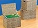 Letter Size Hanging File Box Organizers With Lid By Jumbl