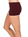 Caramel Cantina 6 Pack Nylon Spandex Plus Size Hipster Boy Short Panties (3X, Winter)