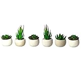 Houseables Artificial Succulent Plants, Fake Plant, 6 Pack, 4.25