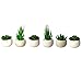 Houseables Artificial Succulent Plants, Fake Plant, 6 Pack, 4.25