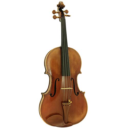 image for D'Luca JS900VA Antique Full Size Viola, Musical Instruments & Accessor