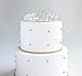 50th Birthday Decorations Party Supplies Birthday Tiara and Sash Black Glitter Satin Sash and Crystal Tiara