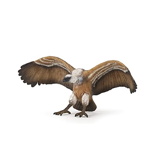 Papo - Realistic Vulture Figure Toy for Kids - Ages 3+ - Birds of Prey Collecti…
