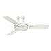 Hunter Fan Company 59153, 44 inch Verse Snow White Indoor / Outdoor Ceiling Fan with LED Light Kit and Handheld Remote