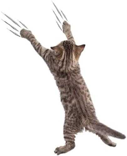 Amazon ウォールステッカー 猫 ねこ 黒猫 三毛猫 ネコ 動物 アニマル 壁シール かわいい 3d シール トリックアート 壁穴 だまし絵 Cat 小さめ インテリアステッカー 壁紙 木 1000 ドア フスマ 文字 子猫 アジアン 和室 壁の穴 補修 棚 和風 サイズ