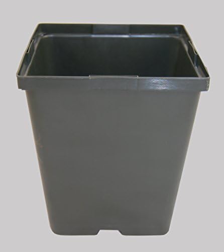 Square Pots 5.50โ X 6โ Deep Green Perennial Growing Pots - 10 Pack