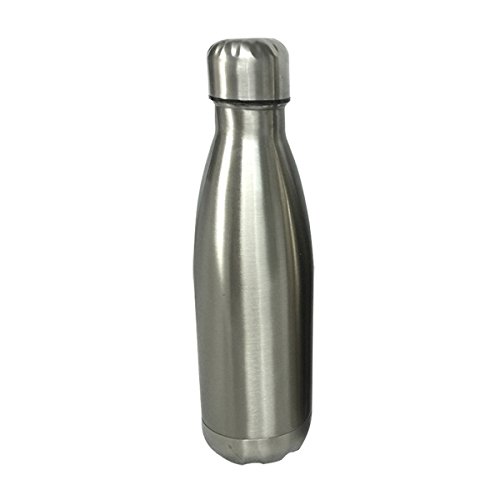 Home Basics Insulated Water Bottle, Double Wall, 17 oz, Stainless Steel