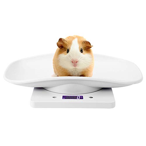 Digital Pet Scale, Accurately Weigh 10kg/1g Small Pet Weight Scale for