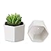 Succulent Planter, MoonLa 2.75 Inch Succulent Plant Pots, Set of 7 White Ceramic Hexagon Succulent Cactus Planter Pots with Bamboo Tray(Plants NOT Included)