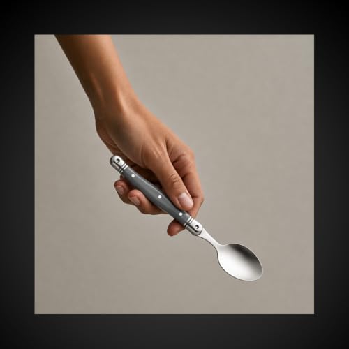Conjunto Talheres Inox Laguiole La Tour 34 Peças Premium Completo (Cinza)