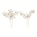 Venusvi Bride Wedding Crystal Hair Pins Rhinestone Bridal Hair Pieces Wedding Hair Accessories for Women and Girls (Pack of 2) (Gold)