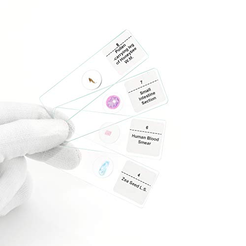 Prepared Microscope Slide Set 10+5Blank Slides for Basic Biological Science Education Specimen - Thumbnail 4