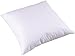 Carpenter Euro Square Sham Stuffer Pillow, White