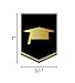 2017 Graduation Banner Decorations Grad Foil Metallic Fringe Curtains - Black Gold Party Supplies Ornaments