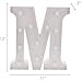 Barnyard Designs Metal Marquee Letter M Light Up Wall Initial Wedding, Bar, Home and Nursery Letter Decoration 12