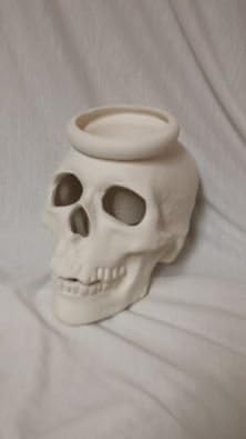 Realistic Skull Cactus Pot Ceramic Bisque, Ready to Paint, Glazed Inside