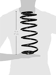 MOOG CC81365 Coil Spring Set for Chevrolet Malibu