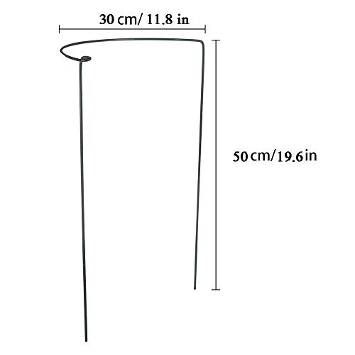 TiTa-Dong Plant Support Garden Stakes,Plant Support Ring Green Iron Wire Half Round Plant Stem Support for Climbing Plants, Vegetables, Flowers,Vine,Set of 2