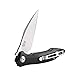 GANZO Firebird FH51 Pocket Folding Knife G10 Handle with Clip D2 Steel Blade Hunting Fishing Camping Outdoor EDC Knife (Black)