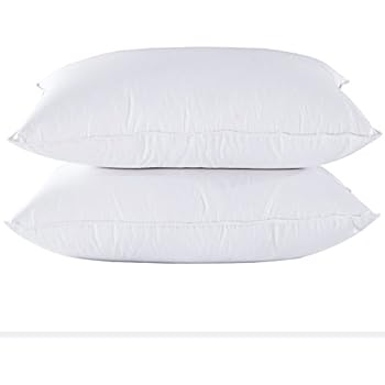 Amazon Com Puredown Luxury White Goose Down Feather Pillows 400