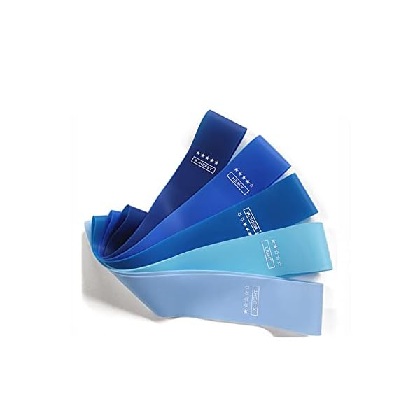 Resistanceical band - with Workout Guide a set of five pieces of Yoga tension workout band, 5 different pull, easy to carry, suitable for Thigh Fitness PhysTherapy Pilates,family fitness, gym, outdoor training