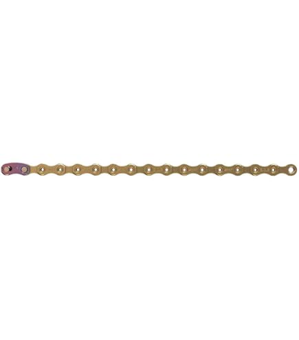 Amazon.com: SRAM GX Eagle 12-Speed Chain 126 Links with