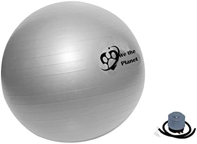 Stability and Balance Ab Ball Yoga Fitness &amp; Exercise Ball 55CM, 65CM Medicine Ball By We The Planet