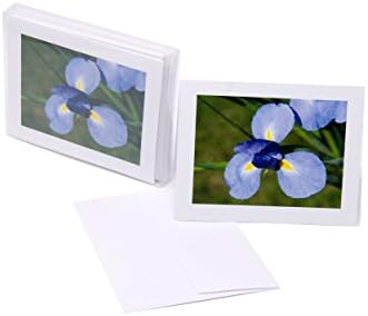 JonS Designs " Violet Iris " Blank White Note Card (5.5" x 4.25") Pack of 6 , Comes with White Envelope , Printed in USA