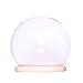 Artlass Glass Cloche Bell Jar Globe Display Dome with Wooden Base Max Dia 7