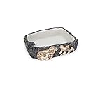 Our Reptile & Amphibian Fossil Rock Dishes Make PERFECT Food & Water Feeding Bowls GUARANTEED!! (Medium)
