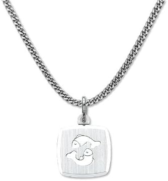 Jewellery: silver zodiac pendant Pisces