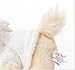 Gund Itty Bitty Boo Bear Suit 5